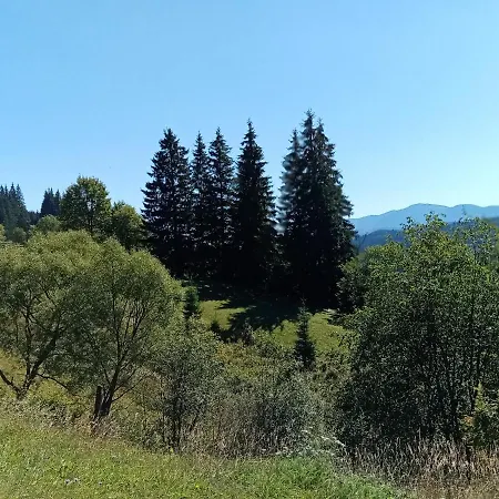 шпінь 2 Tatil Evi